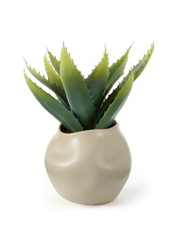 The Very Collection 30cm Aloe Absract Beige Ceramic Pot €29.99 at Very.ie