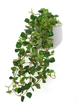 The Very Collection 60cm Faux String of Hearts in Ceramic Pot €26.99 at Very.ie