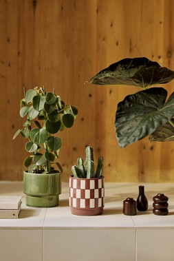 The Very Collection Home Revive 5