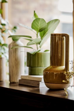 The Very Collection Home Revive 8