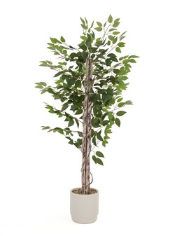 WJQLX The Very Collection 160cm Faux Ficus Tree in Cement Pot £110
