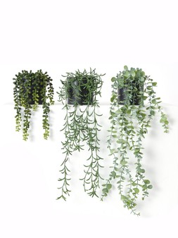 WJQM5 The Very Collection Set of 3 Trailing Faux Plants in Black Ceramic Pots £28