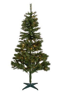 Habitat 6ft Prelit Norland Green Tree, £40, 7072907