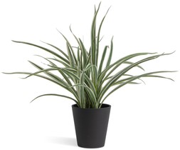 Habitat Large Faux Spider Plant - Green, £12, 7041574
