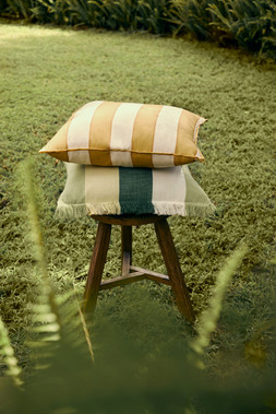 M&S STRIPE OUTDOOR SET OF TWO CUSHIONS £25 / M&S OUTDOOR GREEN STRIPE CUSHION £20