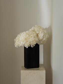 M&S X KELLY HOPPEN